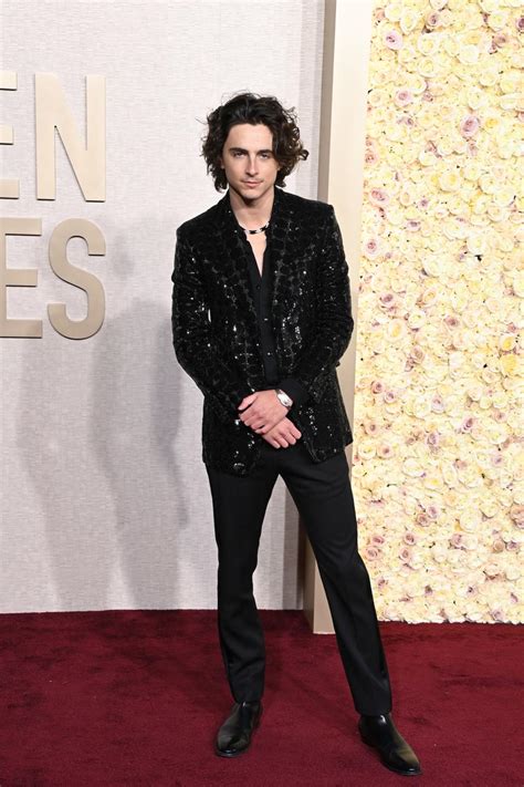 Timothée Chalamet Wore a Cartier Grail to the 2024 Golden Globes